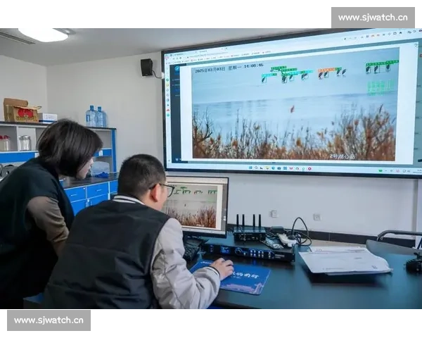 鹰眼系统全面升级实现多维监控与智能数据分析新应用
