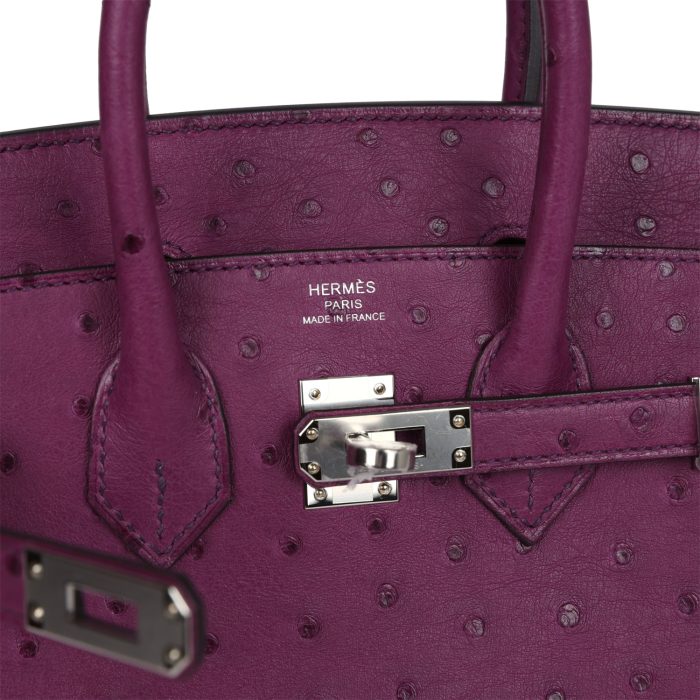 Handmade Bag HB 25 Anemone Ostrich Palladium Hardware - 图片 6