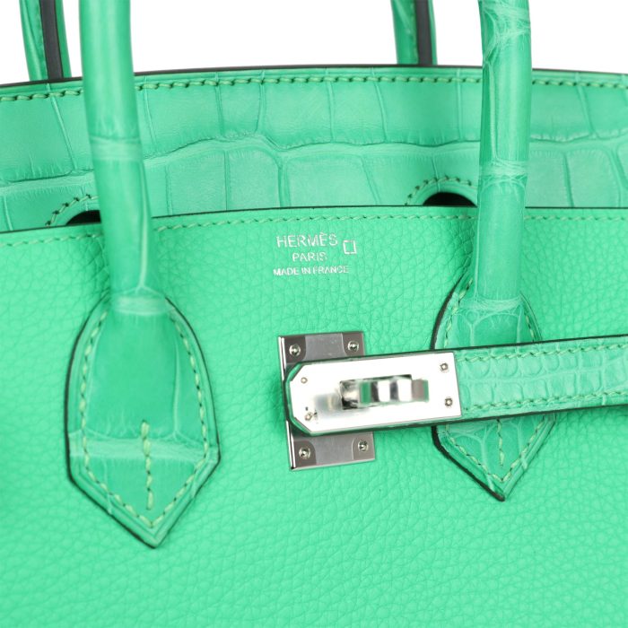 Handmade Bag HB 25 Vert Comics Togo and Matte Alligator Touch Palladium Hardware - 图片 6