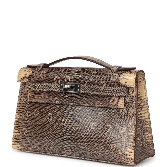 Handmade HKP Desert Varanus Salvator Lizard Palladium Hardware - 图片 3