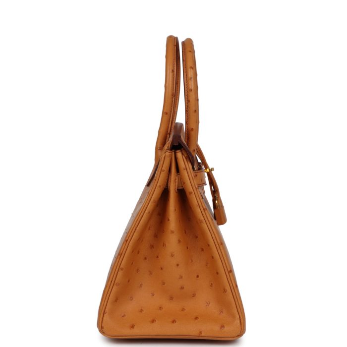 Handmade Bag HB 30 Gold Ostrich Gold Hardware：圖片 3