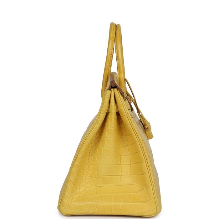 Handmade Bag HB 35 Mimosa Matte Porosus Crocodile Gold Hardware - 图片 3