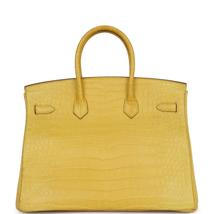 Handmade Bag HB 35 Mimosa Matte Porosus Crocodile Gold Hardware - 图片 4