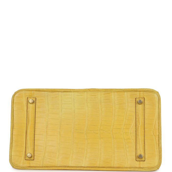 Handmade Bag HB 35 Mimosa Matte Porosus Crocodile Gold Hardware - 图片 5