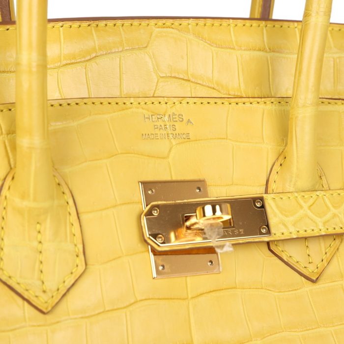 Handmade Bag HB 35 Mimosa Matte Porosus Crocodile Gold Hardware - 图片 6