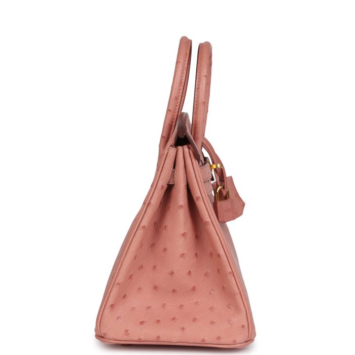 Handmade Bag HB 25 Terre Cuite Ostrich Gold Hardware：圖片 3