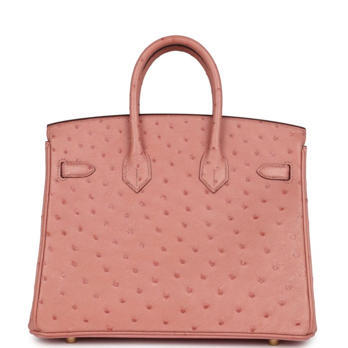 Handmade Bag HB 25 Terre Cuite Ostrich Gold Hardware：圖片 4