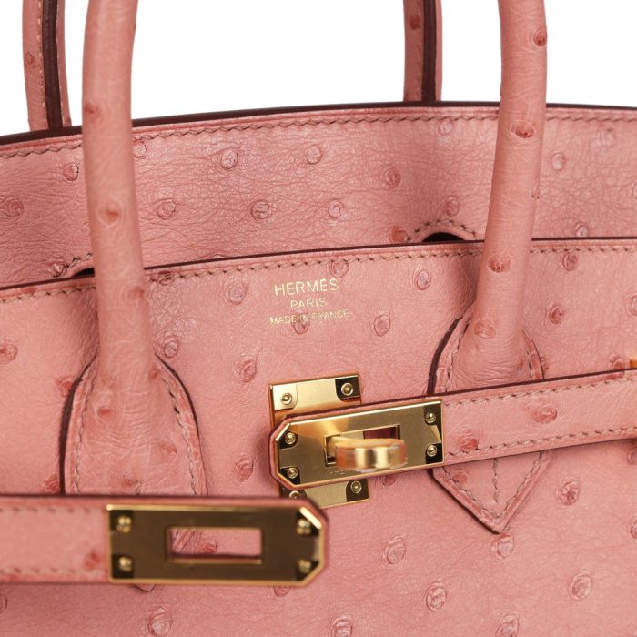Handmade Bag HB 25 Terre Cuite Ostrich Gold Hardware：圖片 6