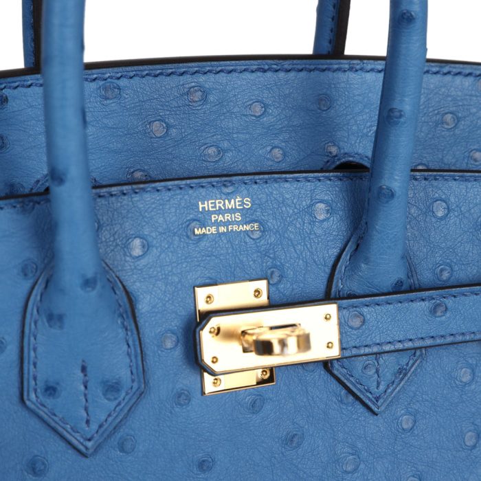 Handmade Bag HB Sellier 25 Mykonos Ostrich Gold Hardware - 图片 6