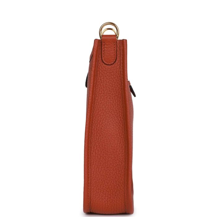 Handmade Bag HE TPM Cuivre Clemence Gold Hardware - 图片 4
