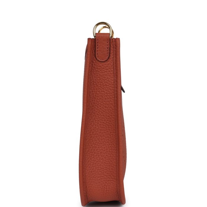 Handmade Bag HE TPM Cuivre Clemence Gold Hardware - 图片 12