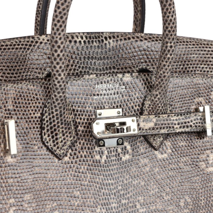 Handmade Bag HB Sellier 20 Ombre Varanus Salvator Lizard Palladium Hardware - 图片 6