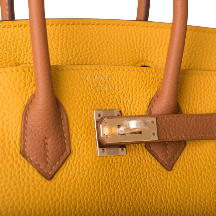 Handmade Bag HSOB(HSS) 25 Jaune Ambre and Gold Togo Permabrass Hardware - 图片 6
