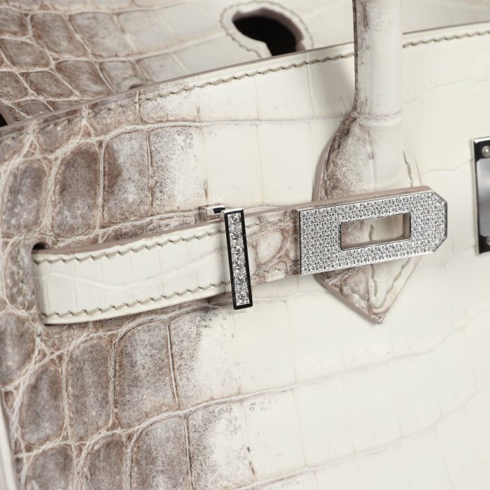 Handmade Bag HB 25 Himalaya Niloticus Crocodile Diamond Encrusted Palladium Hardware - 图片 8