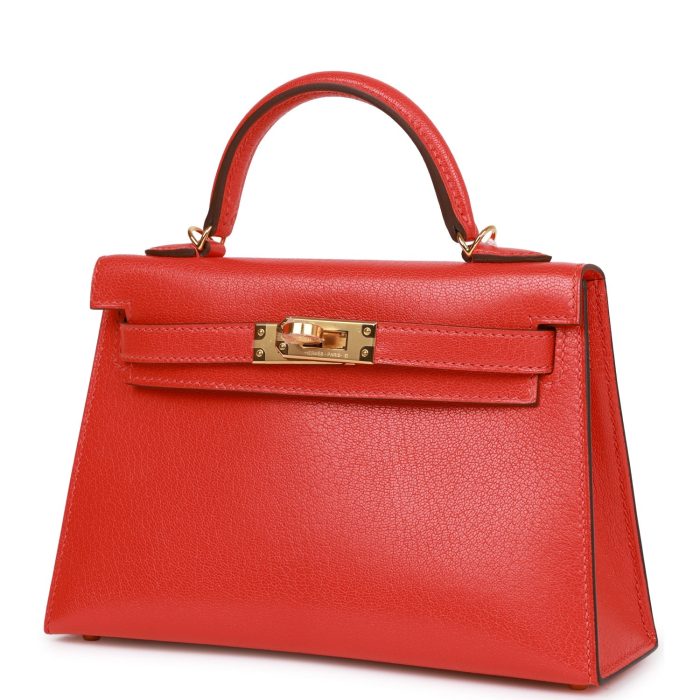 Handmade HKS 20 Capucine Chevre Gold Hardware - 图片 5