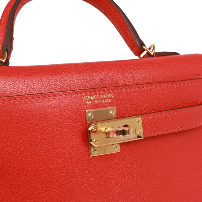 Handmade HKS 20 Capucine Chevre Gold Hardware - 图片 7