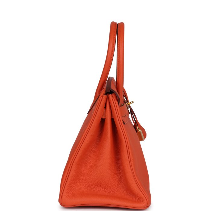 Handmade Bag HB 30 Feu Togo Gold Hardware - 图片 3
