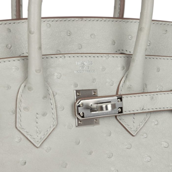 Handmade Bag HB 25 Gris Perle Ostrich Palladium Hardware - 图片 6
