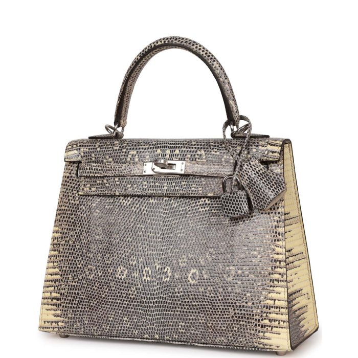 Handmade HKS 25 Ombre Varanus Salvator Lizard Palladium Hardware - 图片 4