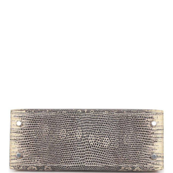 Handmade HKS 25 Ombre Varanus Salvator Lizard Palladium Hardware - 图片 7