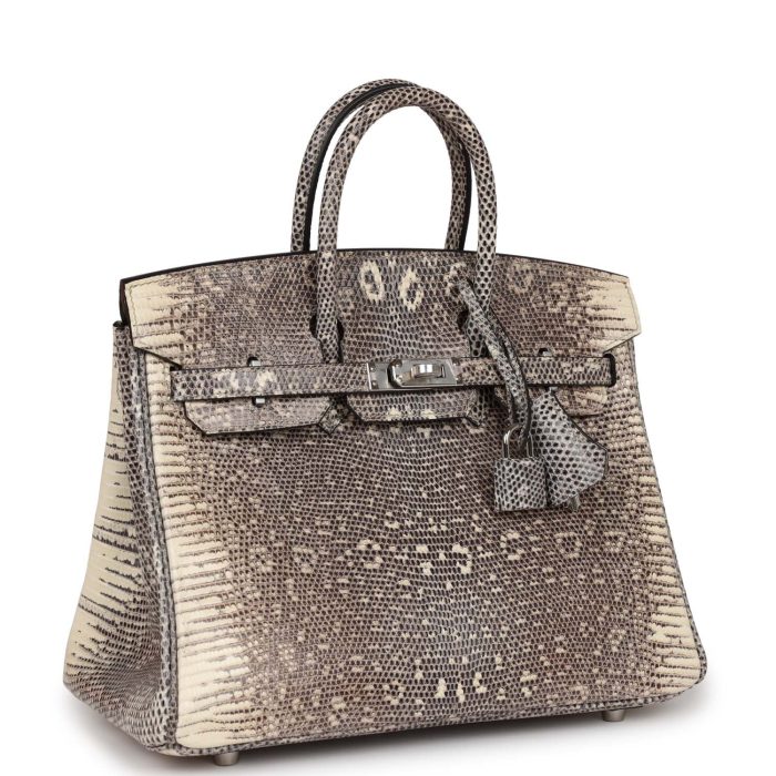 Handmade Bag HB 25 Ombre Varanus Salvator Lizard Palladium Hardware - 图片 2