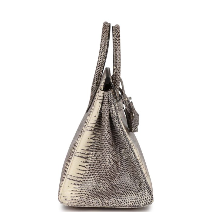 Handmade Bag HB 25 Ombre Varanus Salvator Lizard Palladium Hardware - 图片 3