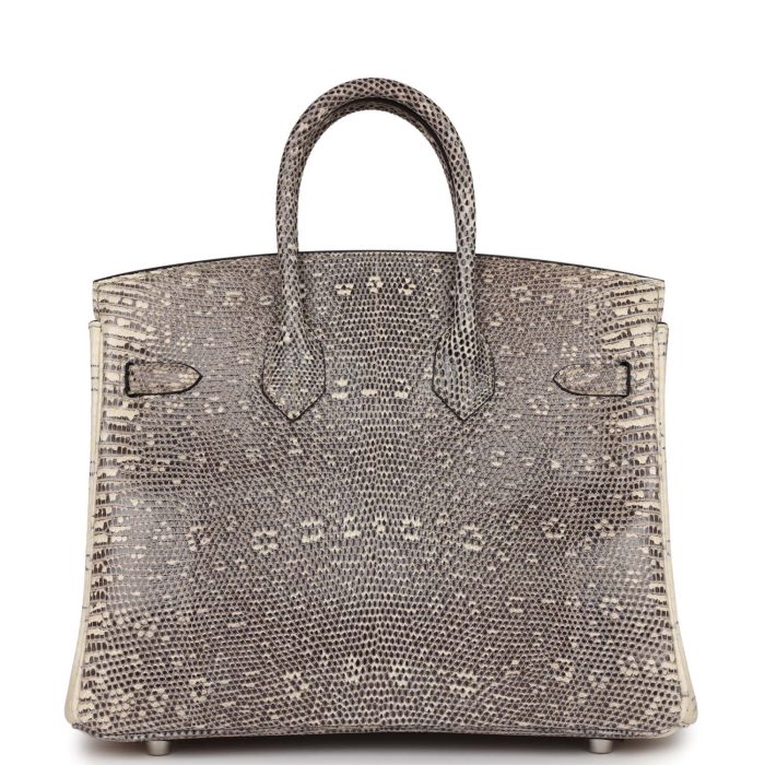 Handmade Bag HB 25 Ombre Varanus Salvator Lizard Palladium Hardware - 图片 4