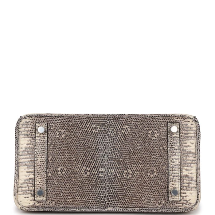 Handmade Bag HB 25 Ombre Varanus Salvator Lizard Palladium Hardware - 图片 5