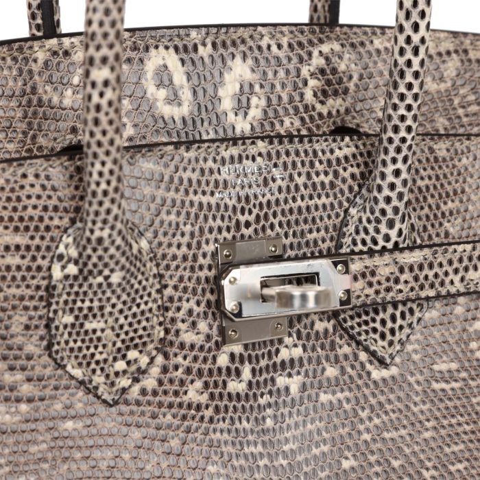 Handmade Bag HB 25 Ombre Varanus Salvator Lizard Palladium Hardware - 图片 6