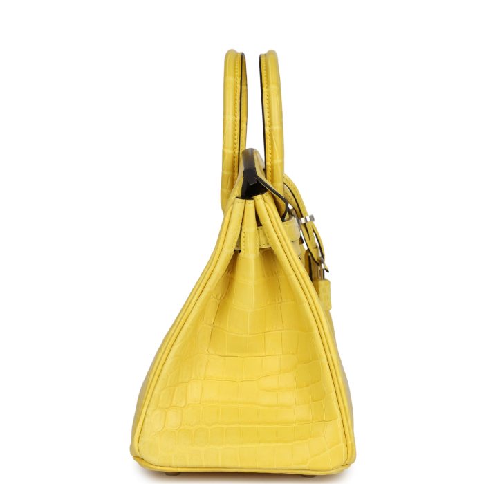 Handmade Bag HB 25 Mimosa Matte Niloticus Crocodile Palladium Hardware - 图片 3