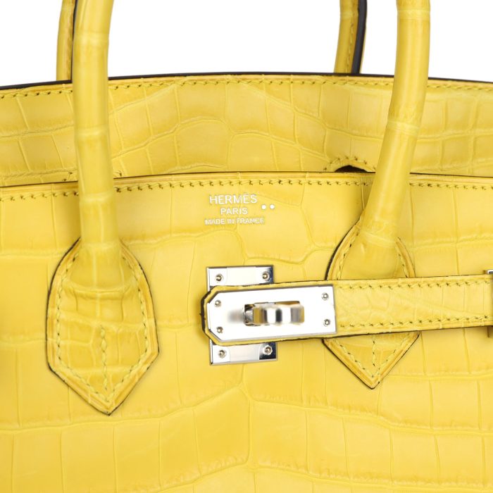 Handmade Bag HB 25 Mimosa Matte Niloticus Crocodile Palladium Hardware - 图片 6