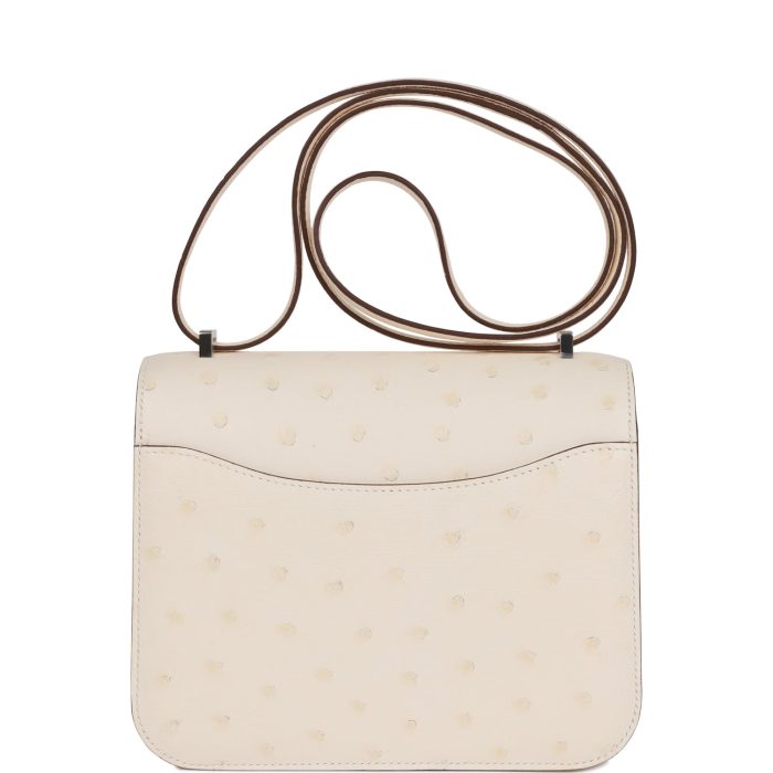 Handmade Bag HC 18 Nata Ostrich Palladium Hardware - 图片 4