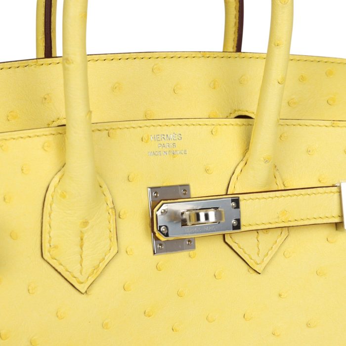Handmade Bag HB 25 Jaune Citron Ostrich Palladium Hardware - 图片 6